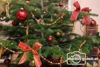 Christbaum2