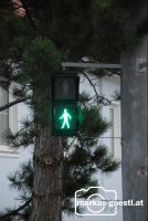 Fußgängerübergang_grün