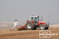 Rübenanbau_2009_4