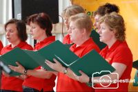 Singgemeinschaft2