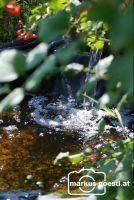 Gartenteich