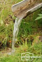 Waldteich6