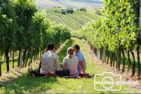 Picknick_Weingarten2