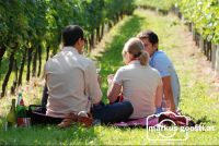 Picknick_Weingarten1