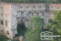 Ruine_Wenzersdorf2