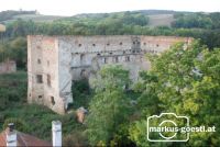 Ruine_Wenzersdorf1