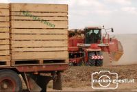 Kartoffelroden_Grimme4