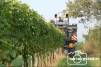 Lesemaschine