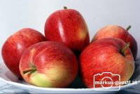 Apfel7