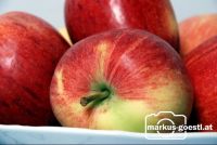 Apfel6