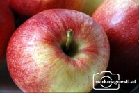 Apfel5