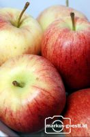 Apfel4