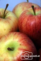 Apfel3