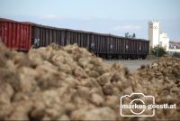 Rüben_Bahntransport4