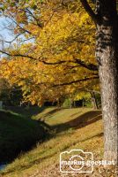 Herbststimmung5