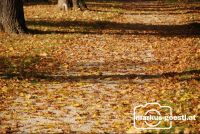Herbststimmung2