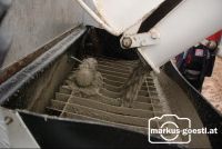 Platte_betonieren14