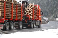 Holztransport_Straße