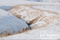 Bachlauf_Winter1