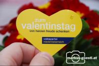 VP_Valentinstag1