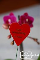 Schild_Valentinstag2