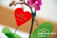 Schild_Valentinstag1