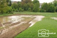 Feld_nach_Gewitter6