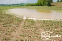 Feld_nach_Gewitter5