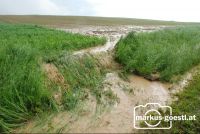 Feld_nach_Gewitter1