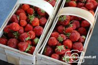 Erdbeeren2