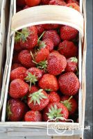 Erdbeeren1
