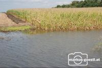 Feld_unter_Wasser2