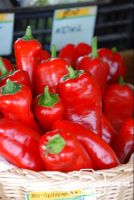 Bio_Spitzpaprika2