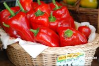 Bio_Spitzpaprika1
