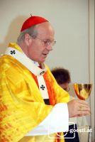 Schönborn_Kelch