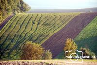 Herbstlandschaft