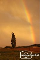 Regenbogen