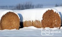 Rundballen_verschneit2