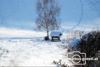 Futterkrippe_Winter