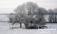 Winterlandschaft