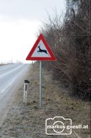 Achtung_Wildwechsel2