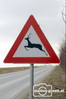 Achtung_Wildwechsel1