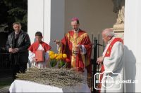 Visitation_Palterndor3