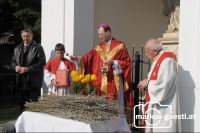 Visitation_Palterndor4
