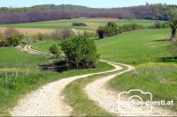 Weg_Weinviertel3