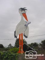 Storch