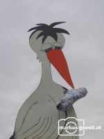Storch