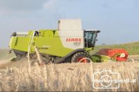 Weizendrusch15