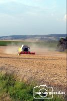 Weizendrusch10