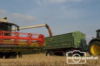 Weizendrusch7